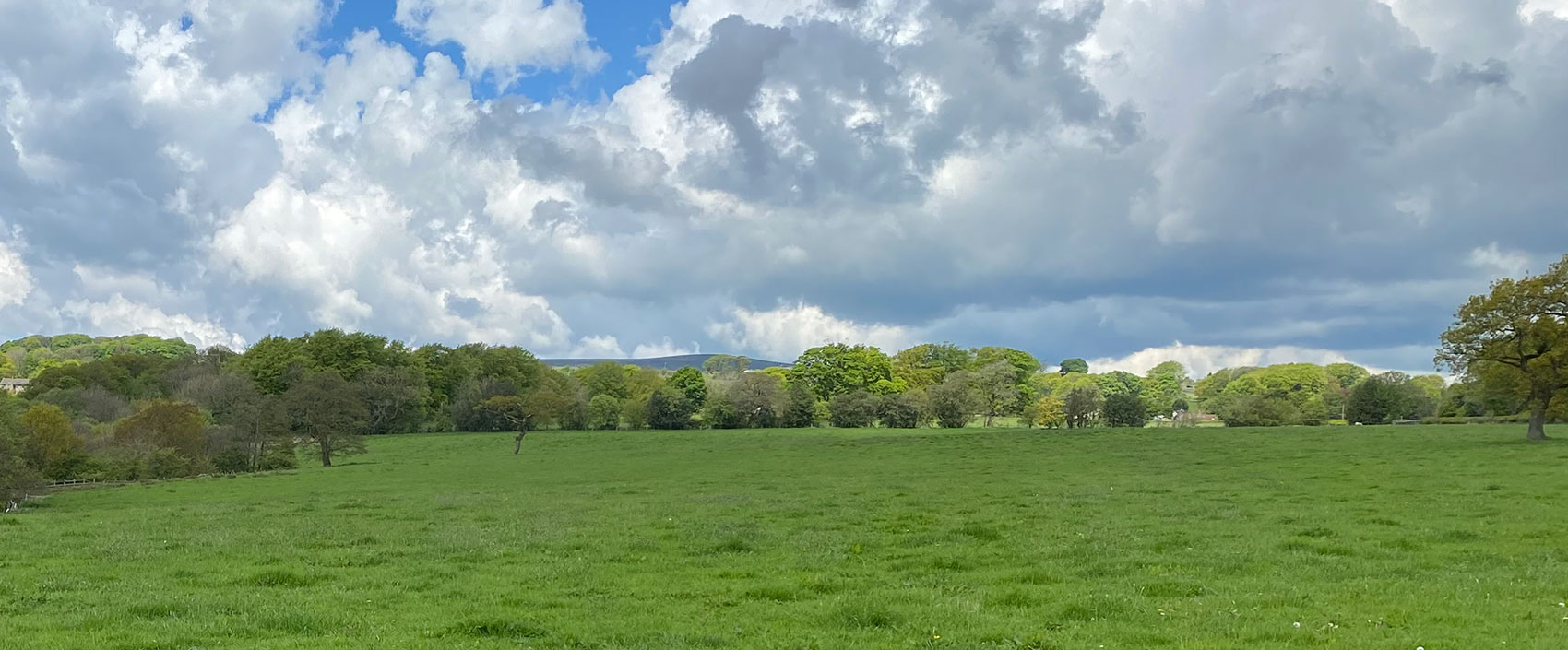 Site at Moor Isles surrounded by screening hedgerows