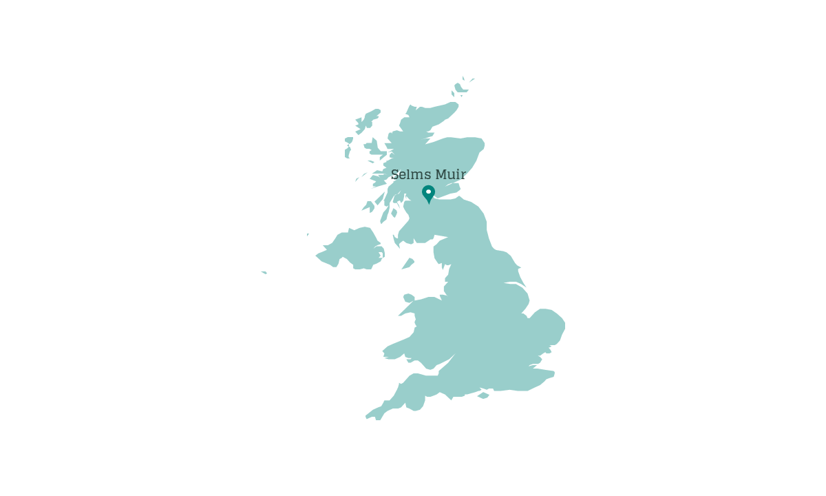 Selms Muir green hydrogen