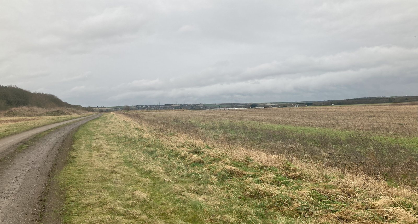 Twelve Month Hill site